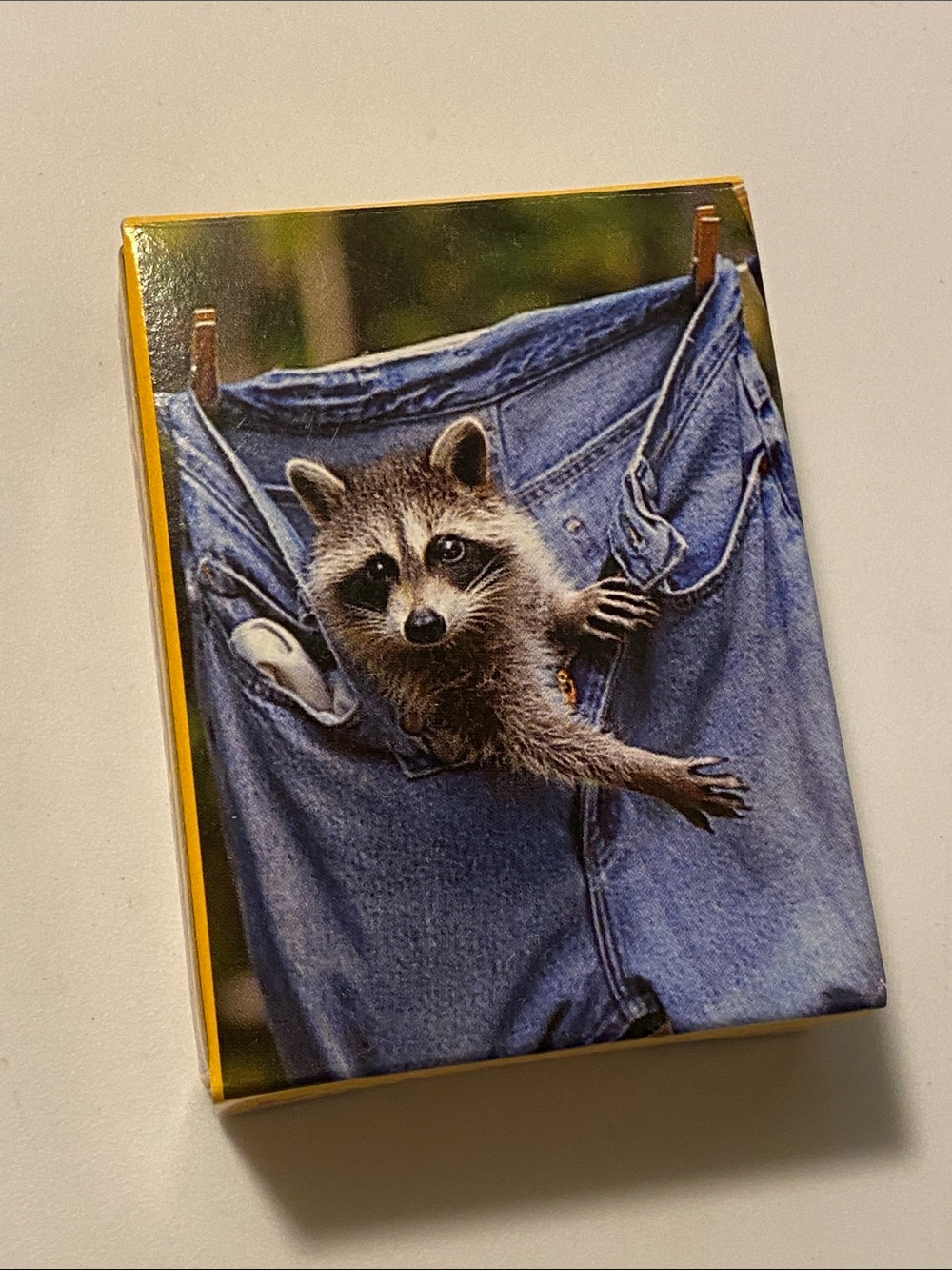 Vintage Kodak 50 piece puzzle Raccoon in Jeans